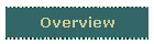 Overview