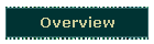 Overview